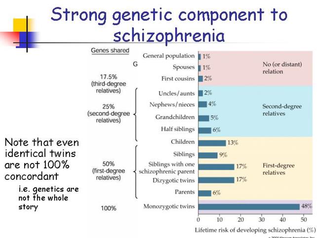 Genetic or Biological Causes of Schizophrenia