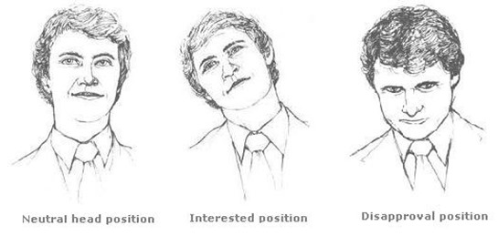 What Your Body Language Tells About You Head