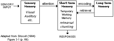 cip_diagram : Information Processing Approach of Memory