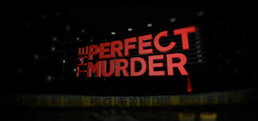 the perfect murder